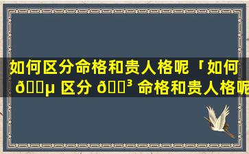 如何区分命格和贵人格呢「如何 🐵 区分 🌳 命格和贵人格呢图片」